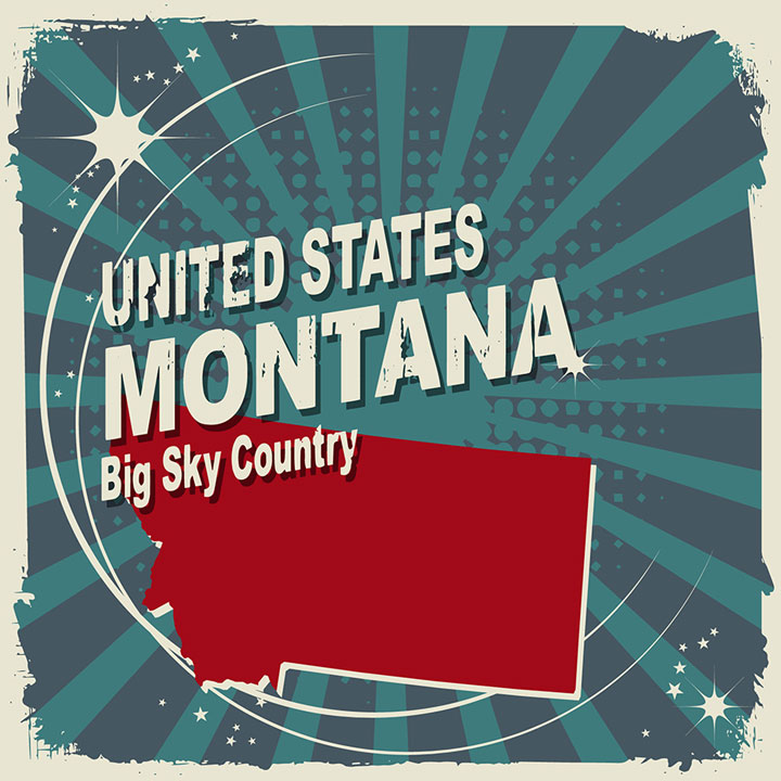 abstract montana map