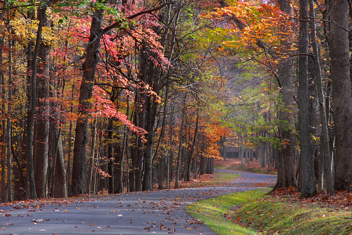 colorful trees along a West Virginia road